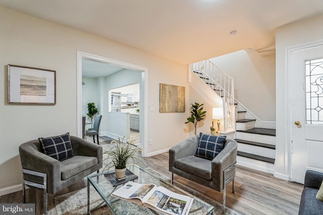 living room with wood-type flooring