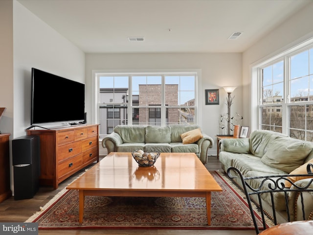 living room featuring wood-type flooring