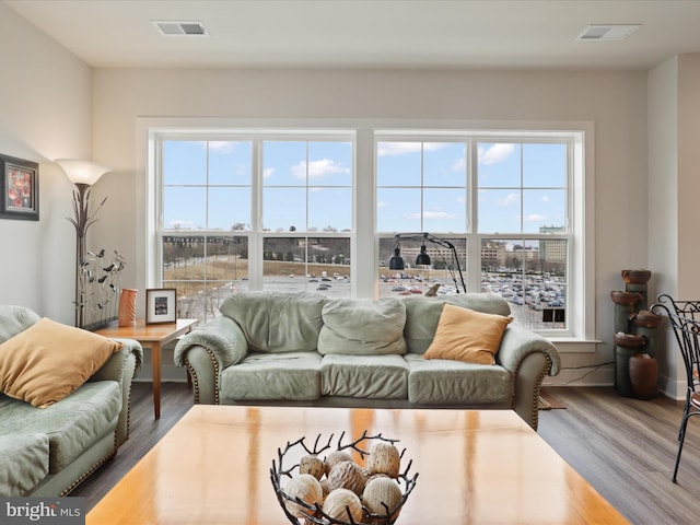 living room featuring hardwood / wood-style flooring and a healthy amount of sunlight