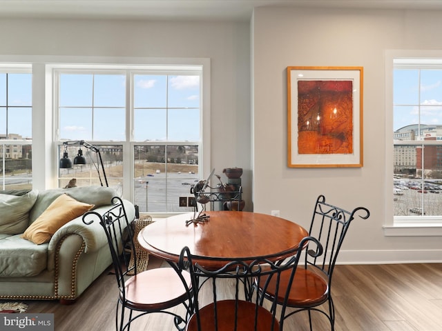 dining room featuring hardwood / wood-style floors