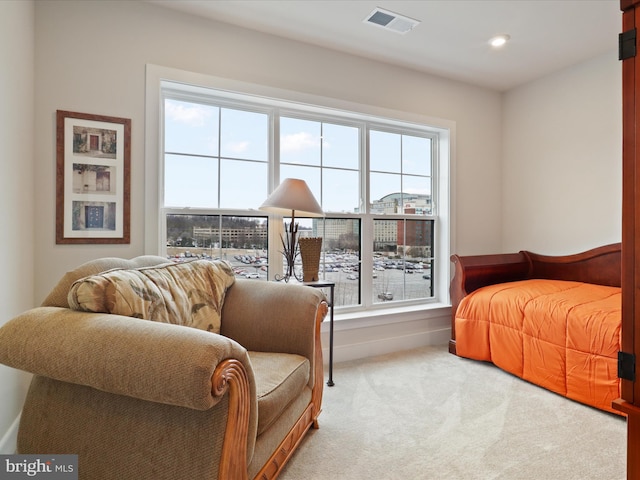 living area featuring carpet flooring