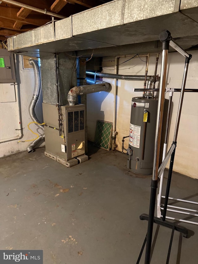 unfinished basement with gas water heater and electric panel