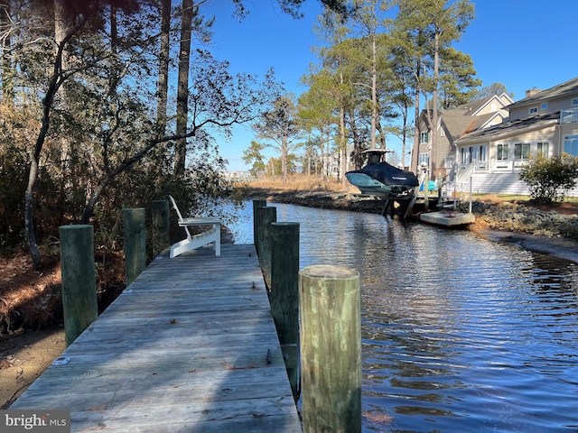 dock area with a water view