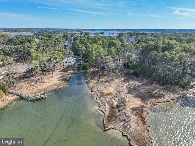 drone / aerial view featuring a water view and a view of trees