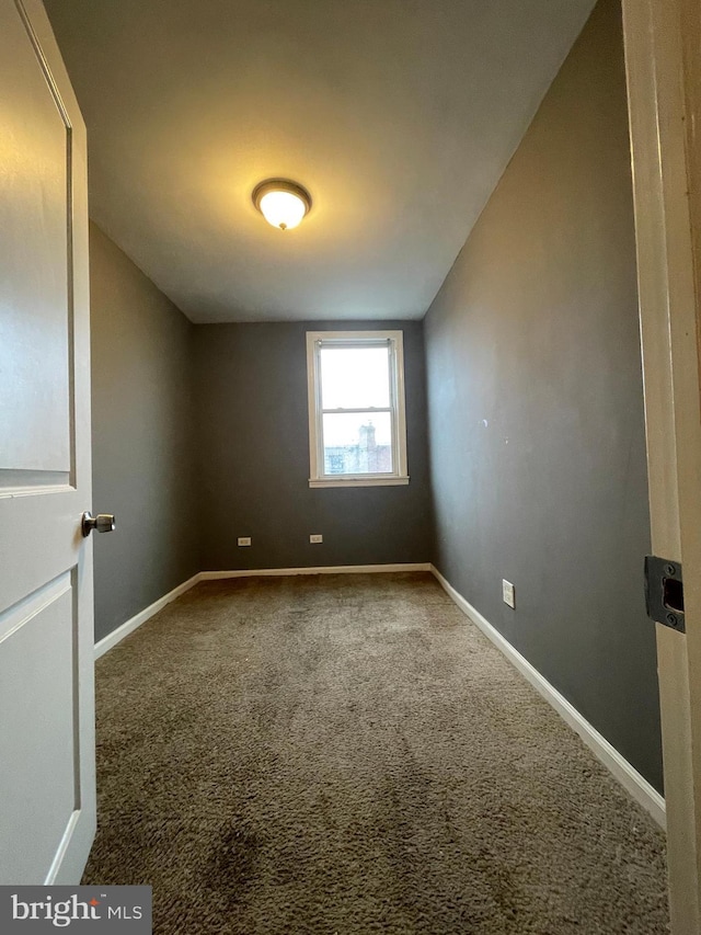 spare room with carpet floors