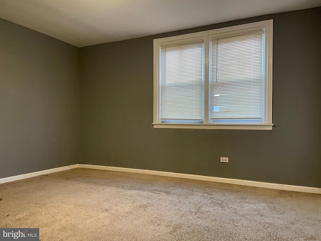 empty room featuring carpet