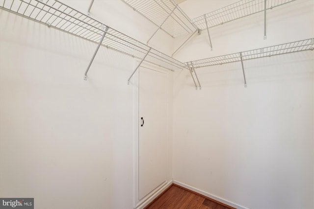 walk in closet with wood-type flooring