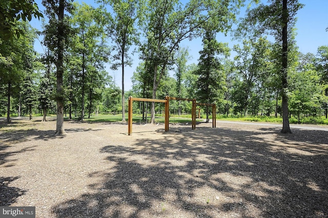 view of jungle gym