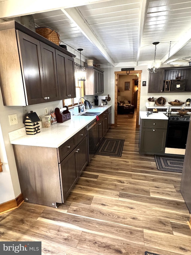 kitchen featuring black range oven, dark brown cabinetry, decorative light fixtures, and hardwood / wood-style floors