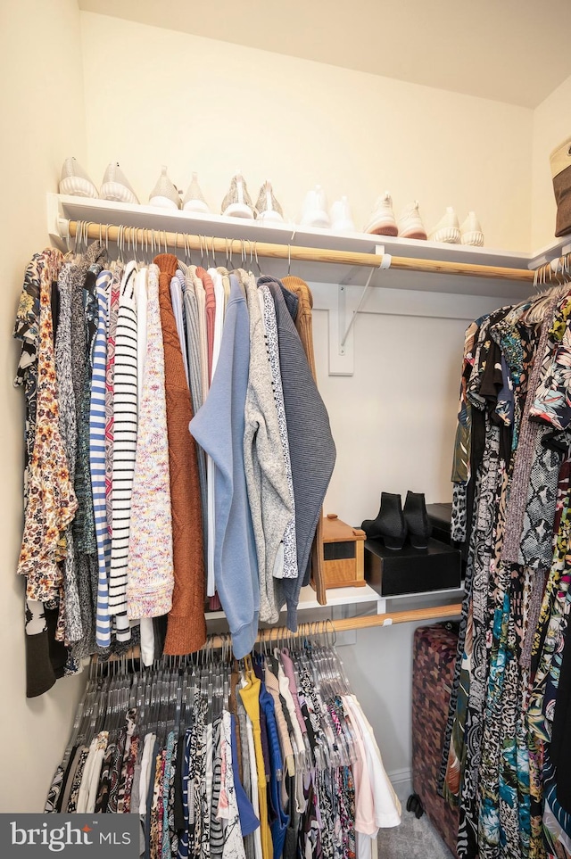 spacious closet with carpet floors