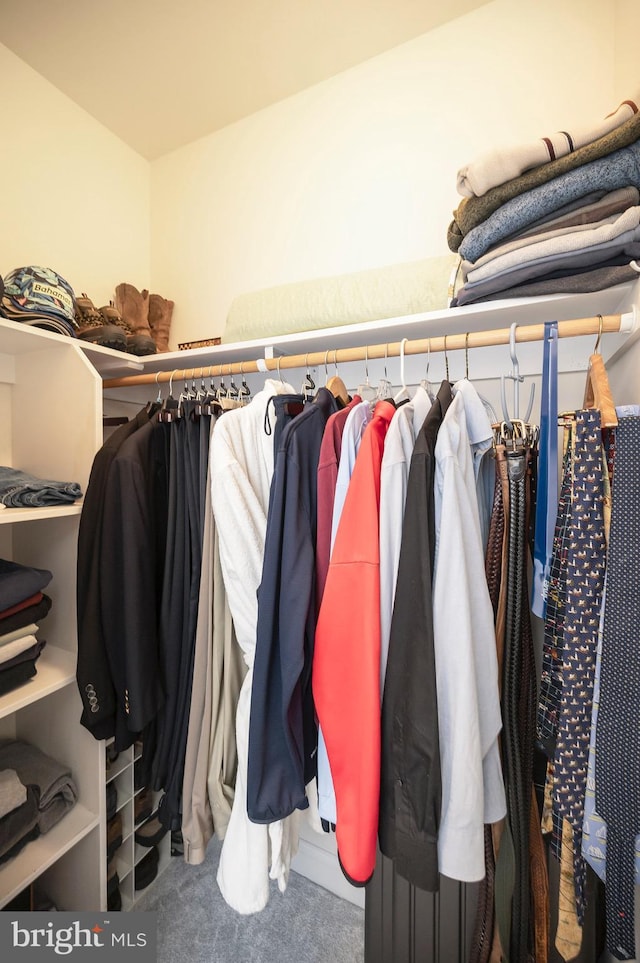 walk in closet with carpet