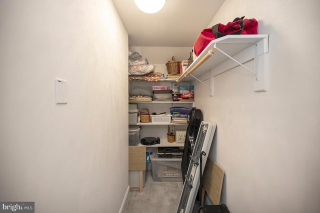 walk in closet with carpet flooring