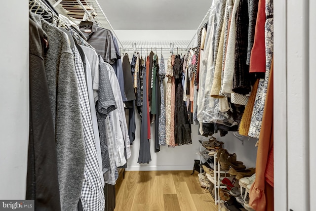 walk in closet featuring wood finished floors