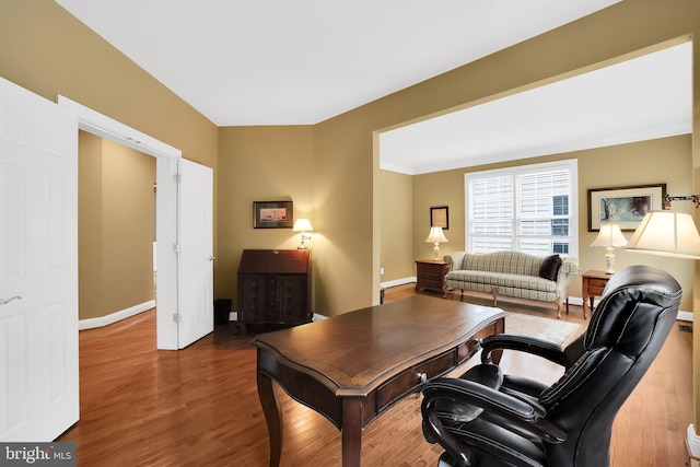 office space featuring wood-type flooring