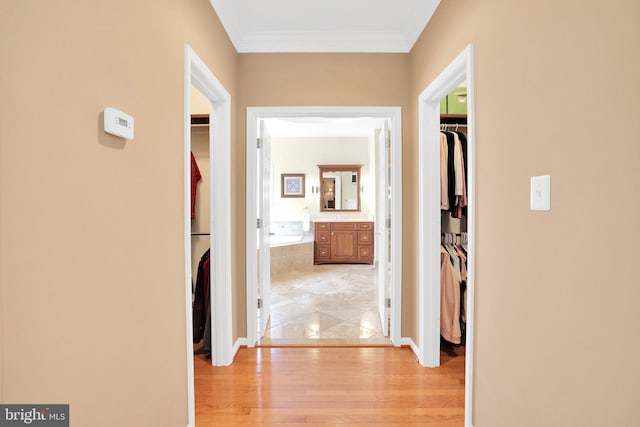 corridor featuring crown molding and light hardwood / wood-style flooring