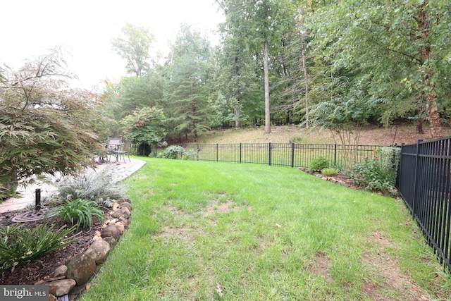 view of yard featuring a patio area