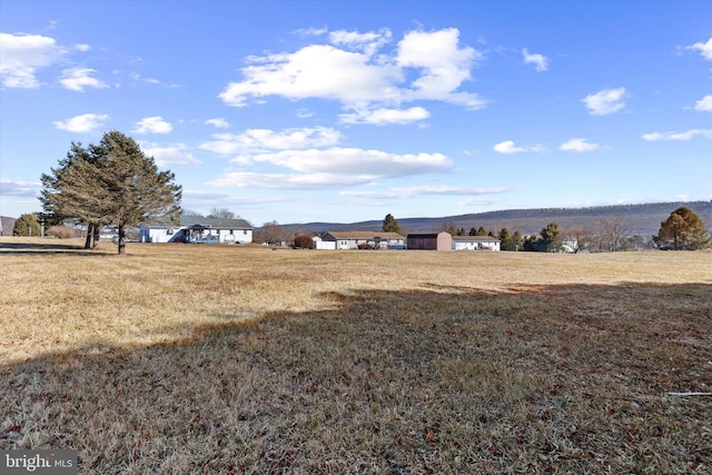 view of yard with a rural view