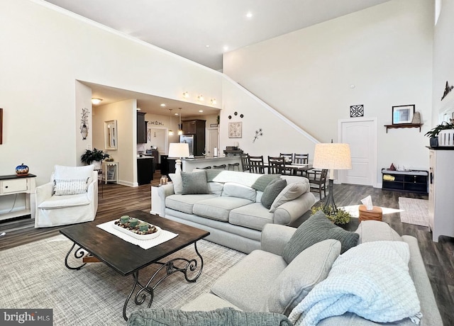 living room featuring hardwood / wood-style floors and a high ceiling