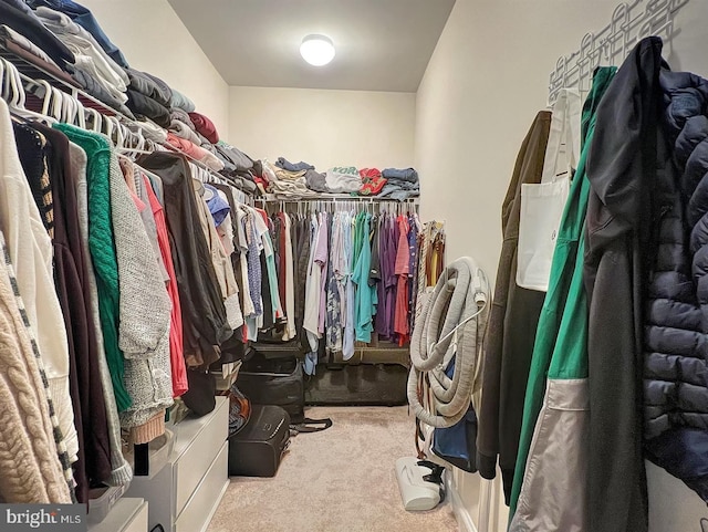 walk in closet featuring light carpet