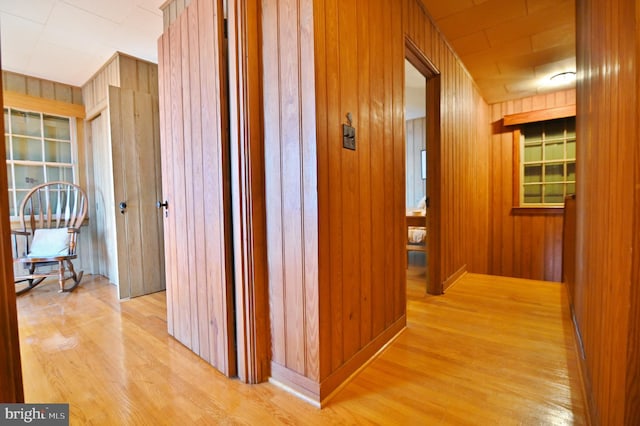 hall with wooden walls and light wood-style flooring