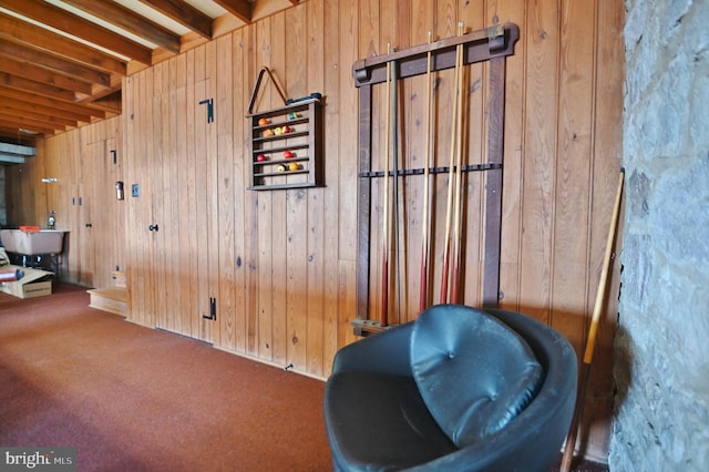 sitting room with wooden walls and carpet flooring