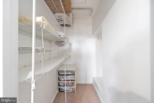 walk in closet featuring carpet floors