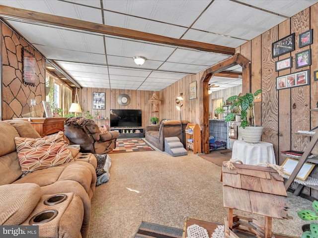 carpeted living room with wood walls