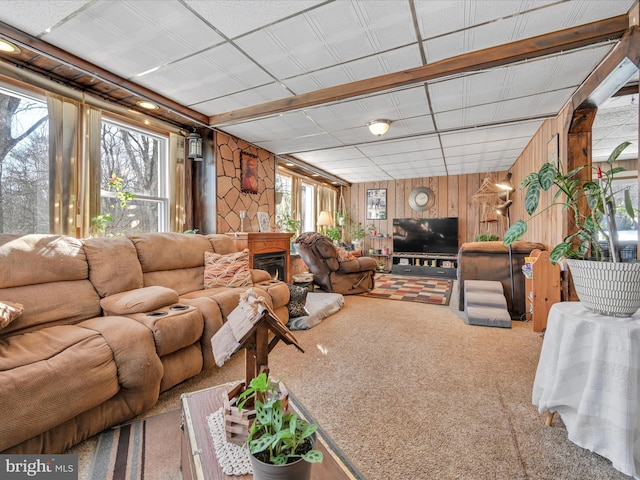 carpeted living room featuring a wealth of natural light