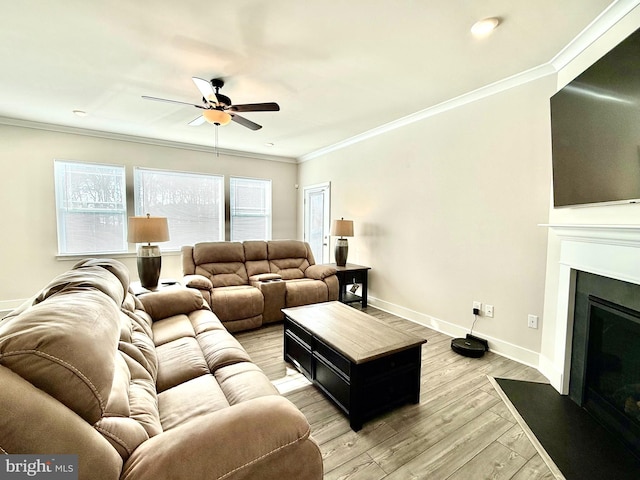 living room with ceiling fan, ornamental molding, and light hardwood / wood-style flooring