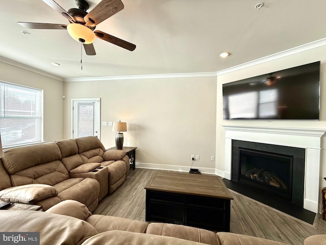 living room with ceiling fan, ornamental molding, and light wood-type flooring