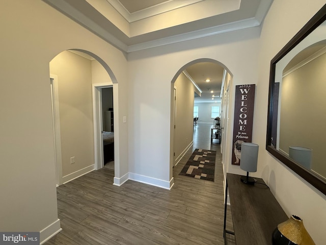 hallway featuring a tray ceiling, ornamental molding, and dark hardwood / wood-style floors