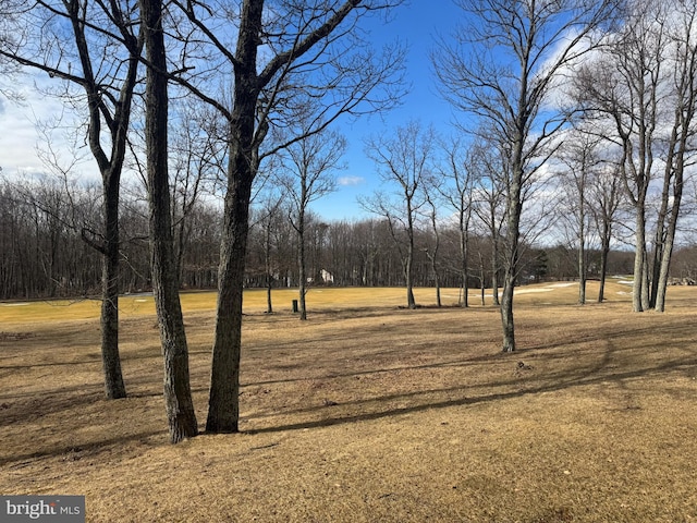 view of local wilderness with a wooded view