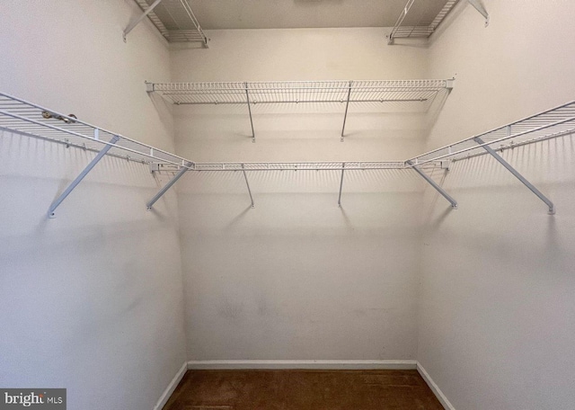 view of walk in closet