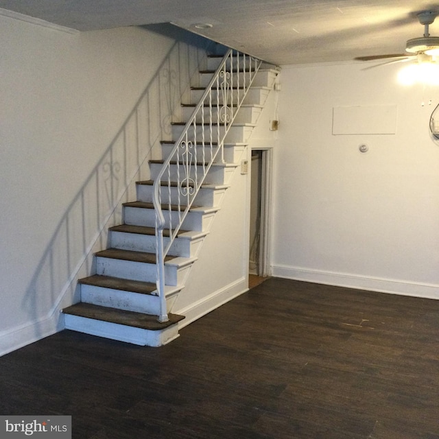 staircase featuring wood-type flooring and ceiling fan