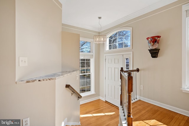 foyer with baseboards, wood finished floors, and crown molding