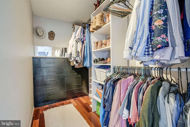 spacious closet featuring wood finished floors