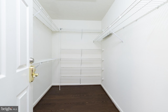 spacious closet with wood finished floors
