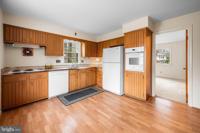 kitchen with a sink, light wood-style flooring, white appliances, and plenty of natural light