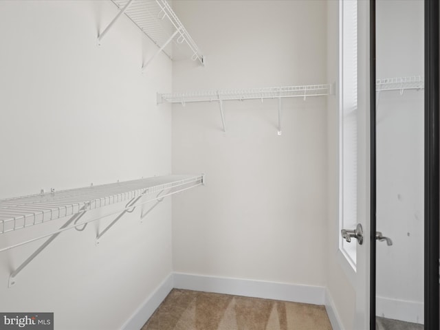 spacious closet with carpet floors