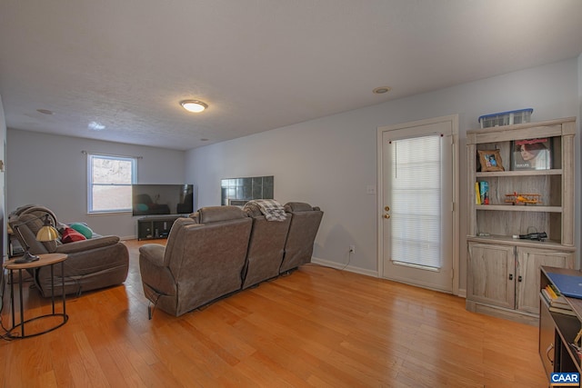 living room with light wood-type flooring