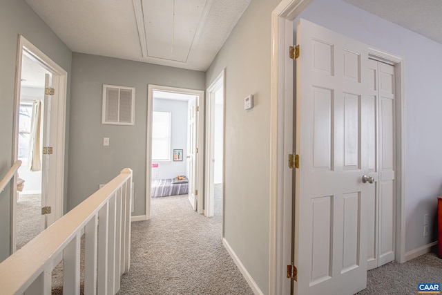 corridor featuring light carpet