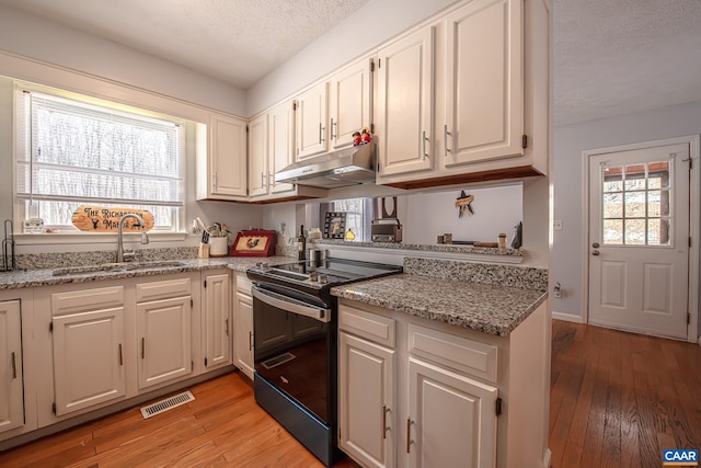 kitchen with white cabinetry, a healthy amount of sunlight, sink, and range with electric stovetop