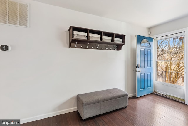 entryway featuring dark wood-type flooring