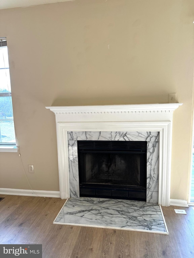 details with a premium fireplace and hardwood / wood-style floors