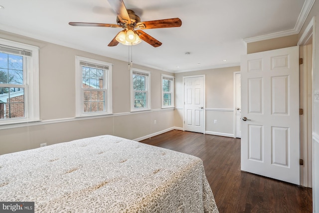 bedroom with dark wood-style flooring, crown molding, a closet, ceiling fan, and baseboards