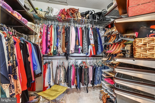 spacious closet featuring carpet flooring