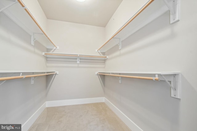 spacious closet with light colored carpet