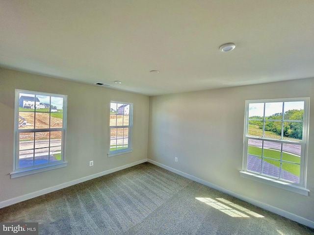 carpeted empty room with plenty of natural light