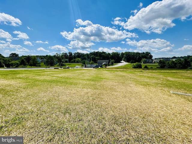 view of yard featuring a rural view