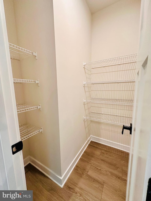 spacious closet featuring hardwood / wood-style flooring